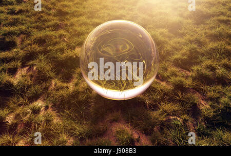 3d rendering of crystal ball on green grass in the morning sunshine light Stock Photo