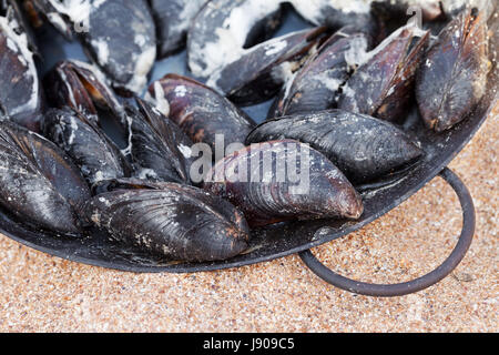 Freshly cooked mussels in metal tray on sand beach at sun summer day Stock Photo
