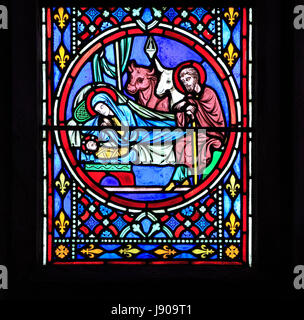Nativity Window, stained glass by Oudinot of Paris, 1861, Feltwell Church, Norfolk, Nativity, stable, Mary, Joseph, newborn baby Jesus, cattle Stock Photo