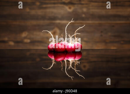 Freshly harvested radishes on black surface, clipping path Stock Photo