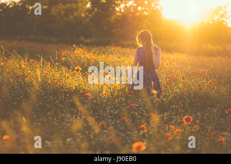 Woman at poppy field in summer sunset Stock Photo