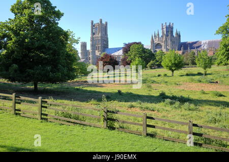 View of the Cathedral from Cherry Hill Park in Ely, Cambridgeshire, Norfolk, UK Stock Photo