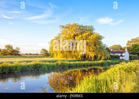 Burscough, Lancashire, 31st May 2017. UK Weather. A beautiful start to the day as the sunrise lights the mist rising from the famous Leeds to Liverpool Canal at Burscough in West lancashire. Quite a cool morning will soon see temperatures rising to the mid 20's as the fabulous warm summer weather returns after a few days of rain over this picturesque part of northern England. Credit: Cernan Elias/Alamy Live News Stock Photo