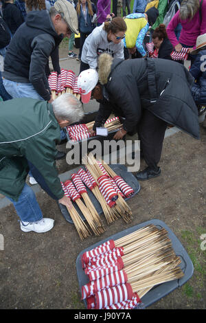 Boston, Massachusetts, USA. 31st May, 2017. Volunteers on Boston Common collect flags the day after Memorial Day for the organization Massachusetts Military Heroes Fund. Each year 37,000 flags are placed in honor of those who gave their lives in military service since the Revolutionary War of 1776. Credit: Kenneth Martin/ZUMA Wire/Alamy Live News Stock Photo