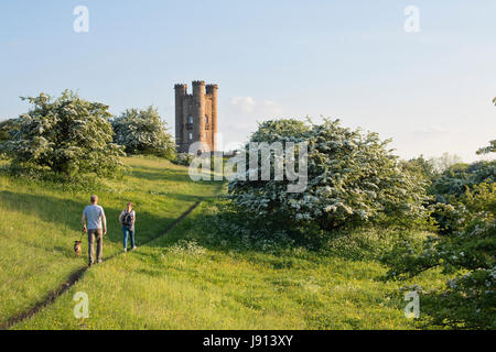 People walking a dog along the cotswold way towards Broadway Tower in the evening in May. Broadway, Cotswolds, Worcestershire, England Stock Photo