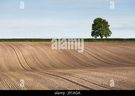 A ploughed field near Huggate in the Yorkshire Wolds Stock Photo