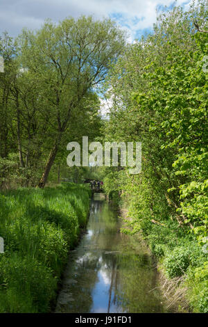 Sculthorpe, Moor, Nature Reserve, wetland, Norfolk, England, UK Stock Photo