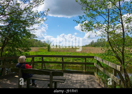 Sculthorpe, Moor, Nature Reserve, wetland, Norfolk, England, UK Stock Photo