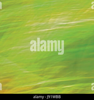 Motion Blurred Bright Meadow Grass Background, Abstract Green, Yellow, Amber Horizontal Texture Pattern Copy Space Stock Photo