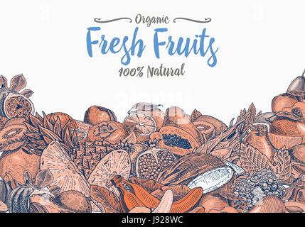 Vintage, hand drawn fresh fruits background, summer plants, vegetarian and organic citrus and other, engraved. pineapple, lemon, papaya, pitaya, maracuya and bananas. Stock Vector