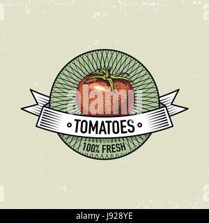tomatoes Vintage set of labels, emblems or logo for vegeterian food, vegetables hand drawn or engraved. Retro farm american style. Stock Vector