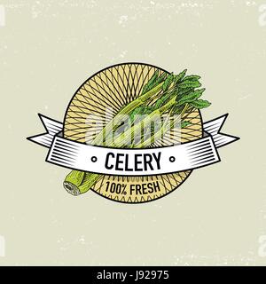 Celery Vintage set of labels, emblems or logo for vegeterian food, vegetables hand drawn or engraved. Retro farm american style. Stock Vector