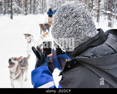 Woman taking photo of Husky dogs sledge in Rovaniemi, Lapland, Finland Stock Photo