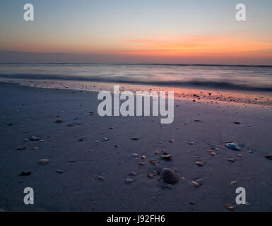 A quiet peaceful sunrise on St Augustine beach in Florida, with shells in the foreground Stock Photo