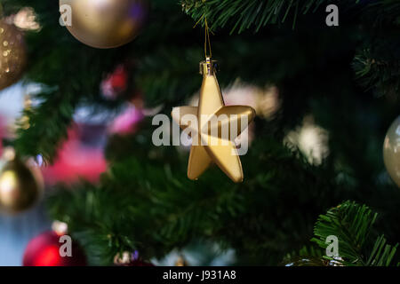 Christmas holiday decorative golden star hanging from the pine tree in the park Stock Photo