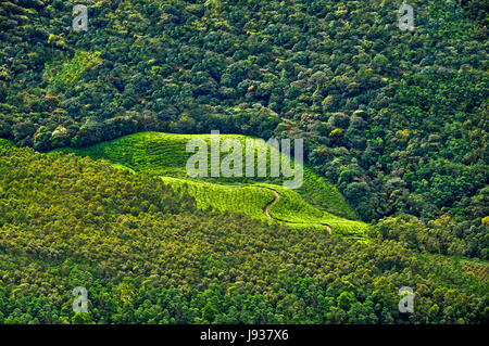 Munnar, beauty of munnar, tea garden munnar, Munnar Kerala Stock Photo