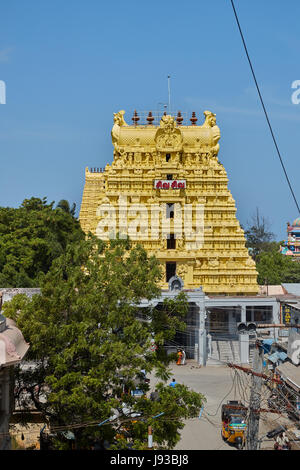 Ramanathaswamy Temple is a Hindu Temple dedicated to the god Shiva located on Rameswaram island in the state of Tamil Nadu, India. Stock Photo