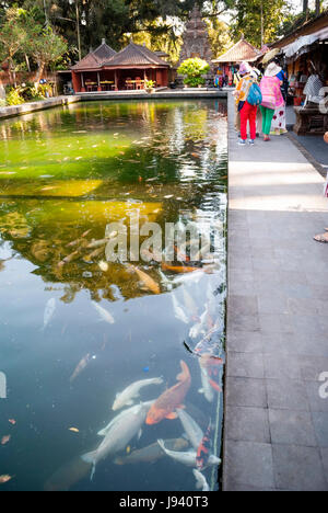 BALI, INDONESIA - SEPTEMBER 22: Water pond and visitors at Pura Tirta Empul temple, known by the sacred water purification. Bali, Indonesia, september Stock Photo