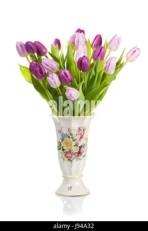 arrangement, leaf, art, isolated, closeup, flower, plant, antique, bloom, Stock Photo