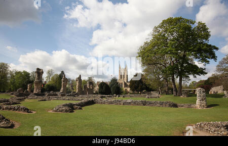 Abbey Gardens and ruins, Bury St Edmunds, Suffolk. Stock Photo