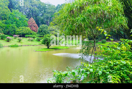 The small lake located inside dense rainforest of botanical garden in Peradeniya, Sri Lanka Stock Photo