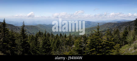 Clingmans Dome is the highest point in the Great Smoky Mountain National Park at an elevation of 6643 feet.  On a clear day it is possible to see approximately 100 miles from the summit.  Viewing to the south, it is possible to make out the Tuckasegee River near the point where it forms Fontana Lake.  The road to Clingmans Dome from Highway 441 is 7 miles in length and is closed between December and March. Stock Photo