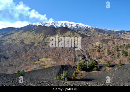environment, enviroment, birch, beech, vegetation, mountain, vulcan, volcano, Stock Photo