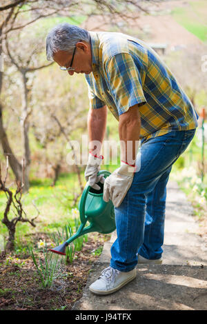 Senior man in his garden. He is watering plants. Stock Photo