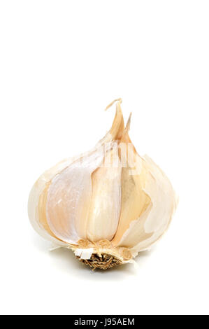 toe, onion, garlic, clove of garlic, spice, studio photography, blank, Stock Photo