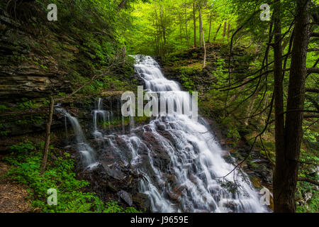 Ganoga Falls, at Ricketts Glen State Park, Pennsylvania. Stock Photo