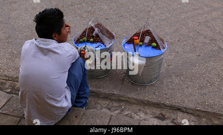Fried Grasshoppers, chapulines, for Sale in the Street Stock Photo