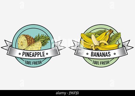 Vintage set of labels, emblems or logo for vegeterian food, fruits hand drawn or engraved. Retro farm american style Stock Vector