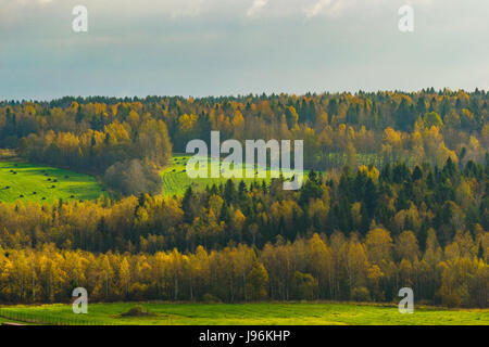 Autumn morning in the Vologda region of Russia Stock Photo - Alamy
