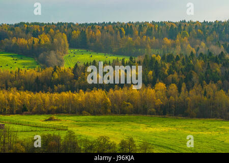 Autumn morning in the Vologda region of Russia Stock Photo - Alamy