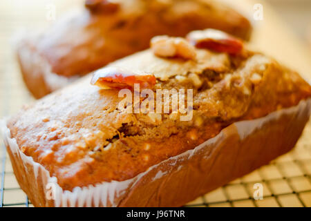 Home cooked food. Two date and walnut cakes on a cooling rack. Stock Photo