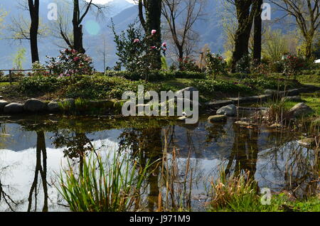 mountains, switzerland, exposition, tessin, salt water, sea, ocean, water, Stock Photo