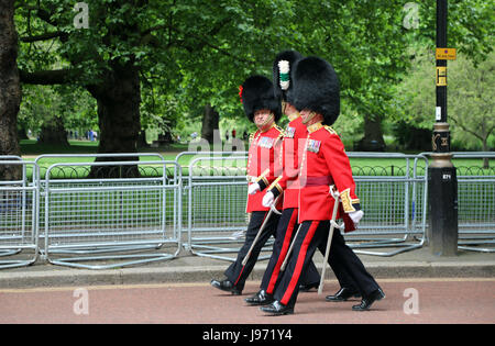 Three members of the Household Division walk down Horse Guards Parade in London following rehearsals for Trooping the Colour on 31 May 2017. Stock Photo