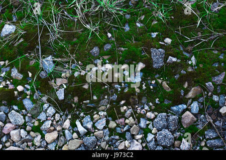 Background Of Green Moss. Seamless Tileable Texture. Stock Photo