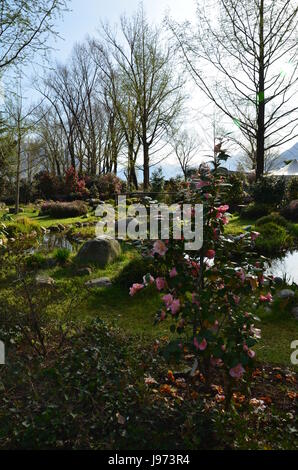 mountains, switzerland, exposition, tessin, salt water, sea, ocean, water, Stock Photo