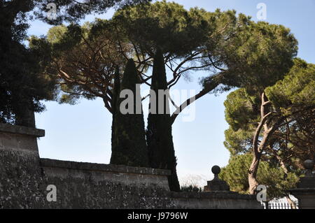 rome,castel gandolfo Stock Photo