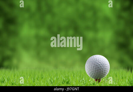 Golf ball and tee on green grass, background blurred out Stock Photo