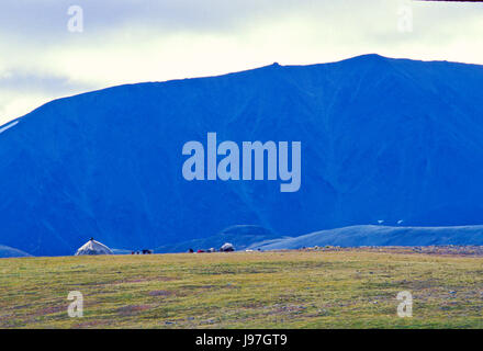 Nomadic Chukchi reindeer herders' yurt encampment on the Chukchi or Chukotka Peninsula, in the Russian Far East. Stock Photo