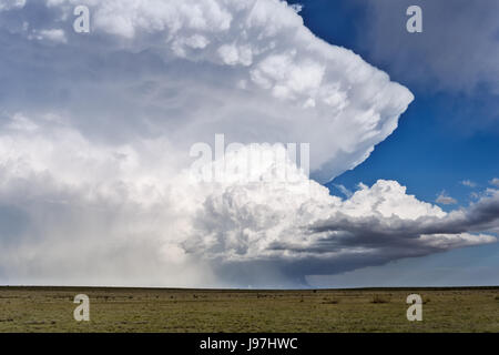 Cumulonimbus clouds from a supercell thunderstorm in New Mexico Stock Photo