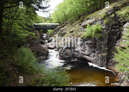 The Pool and covered bridge at Flume Gorge Stock Photo