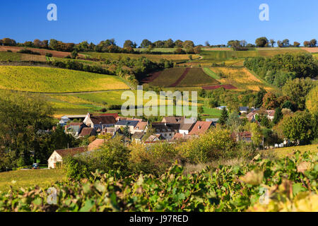 France, Cher, Crezancy-en-Sancerre, Reigny hamlet, sancerrois vineyard in autumn Stock Photo