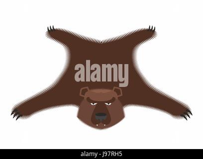 Bear pelt. Big brown bear Grizzly hide. Hunting trophy. Vector illustration Stock Vector