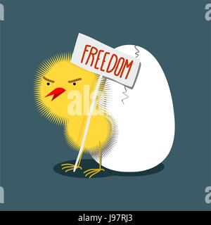 Little furry yellow wicked chick holds a plate of "Freedom". Bird protests. Cracked egg. Vector illustration Stock Vector