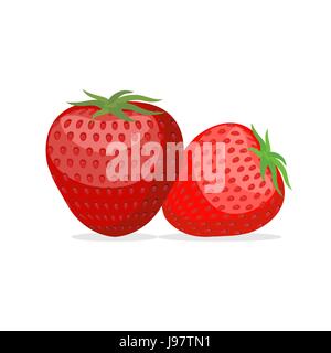 Strawberry. Two fresh red, ripe strawberries on white background. Vector illustration of berries Stock Vector