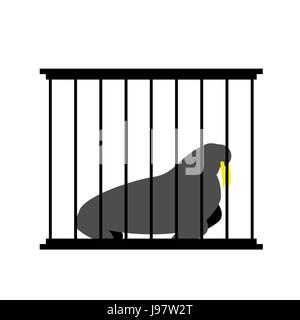 Walrus in cage. Animal in Zoo behind bars. Arctic beast Big captive. Dangerous animal with large tusks in captivity in humans. Stock Vector