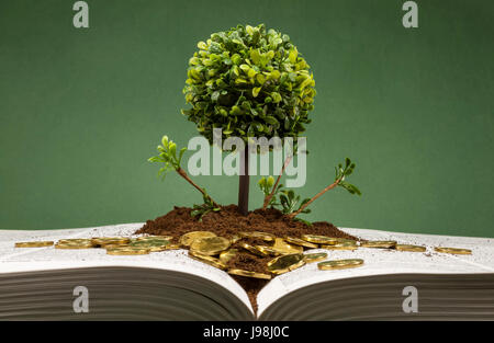 Miniature and decorative tree with round canopy on a layer of soil and scattered golden coins on an open book , concept about knowledge and finance Stock Photo